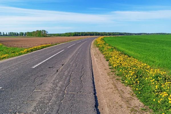 Asphalt road through spring field with dandelions. Stock Photo