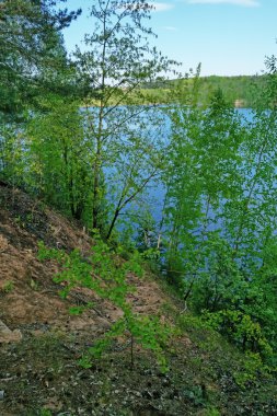 Ağaçlar göle dik kenarı.