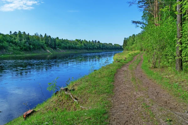 Krajobraz Rzeka Dvina Zapadnaya (Western). — Zdjęcie stockowe