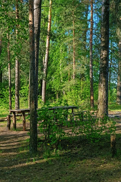 Kempinkový stolek na pobřeží jezera. — Stock fotografie