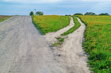 Kara yolu ile tarımsal alanlar.