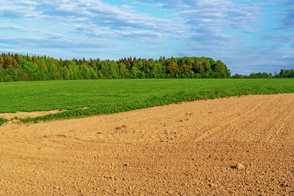 Campo primaverile arato . — Foto Stock