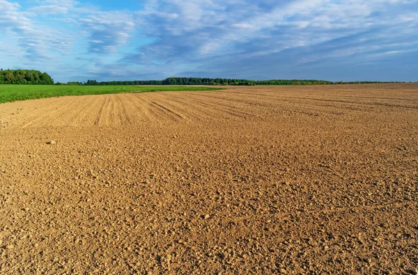Plowed spring field. — Stock Photo, Image