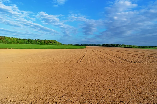 sürülmüş bahar alan.