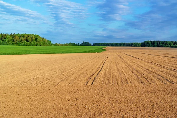 Campo primaverile arato . — Foto Stock