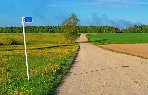 Carretera terrestre a través de campos agrícolas . —  Fotos de Stock