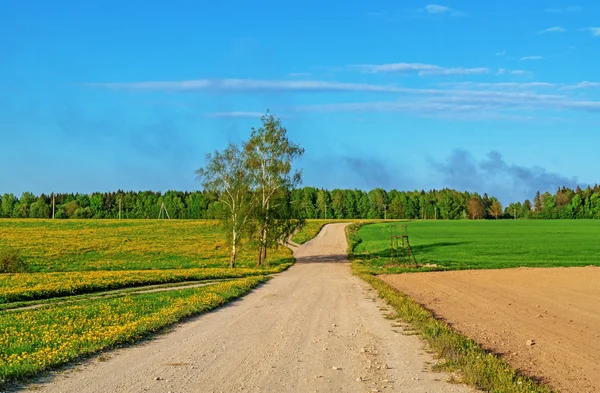 Kara yolu ile tarımsal alanlar.