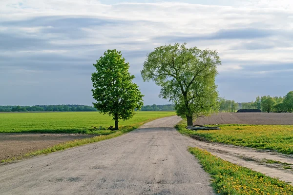 Carretera terrestre a través de campos agrícolas . —  Fotos de Stock