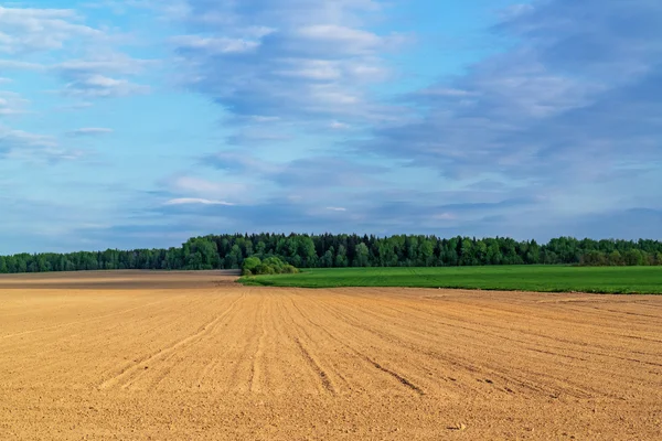 Campo primaverile arato . — Foto Stock