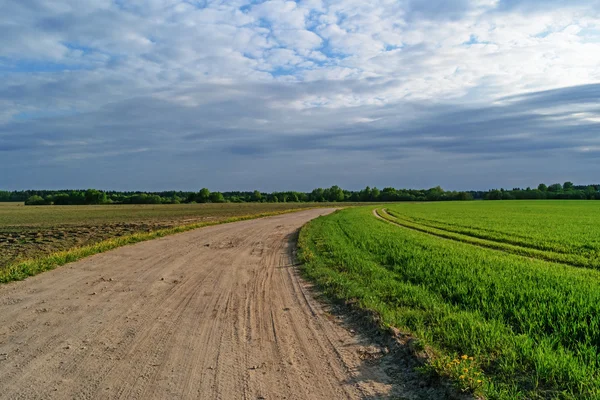 Ground road through agricultural fields. — Stock Photo, Image