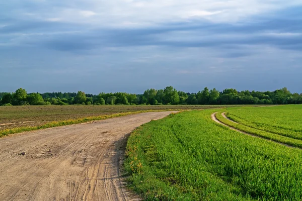 Грунтовая дорога через сельскохозяйственные поля . — стоковое фото