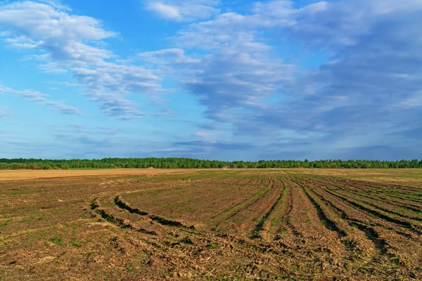 Plowed spring field. — Stock Photo, Image