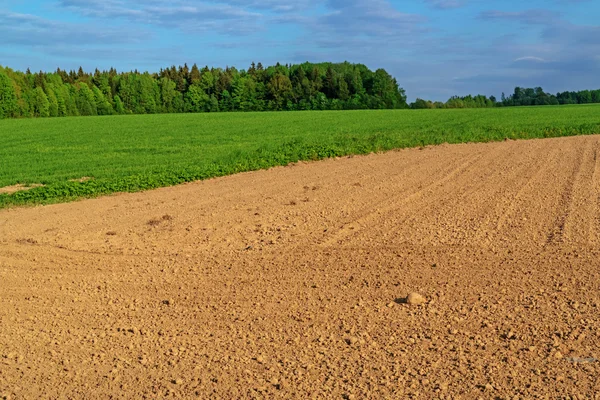 Plowed spring field. Royalty Free Stock Photos