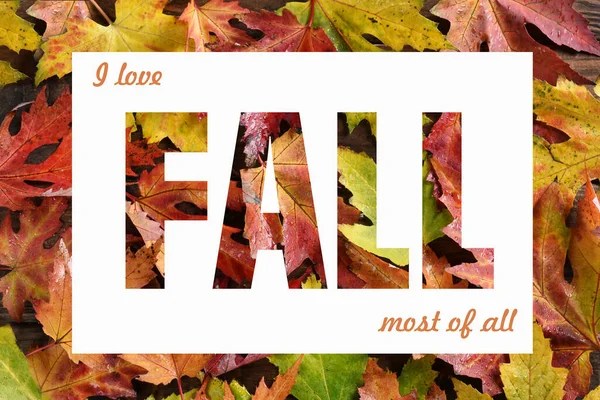 Herfst Achtergrond Met Kleurrijke Natte Esdoorn Bladeren Met Regendruppels Inscriptie — Stockfoto