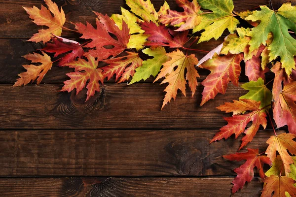 Holzhintergrund Mit Bunten Herbst Ahornblättern Mit Freiem Platz Für Eigenen — Stockfoto