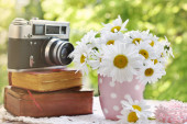 parta marguerite květin ve váze a vinobraní knihy a fotoaparát na stole v zahradě 