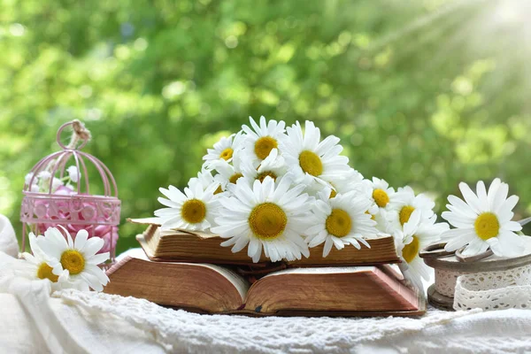 Купа Квітів Маргарита Лежить Відкритих Старих Книгах Столі Саду — стокове фото