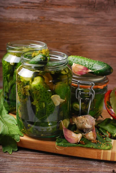 Freshly made pickled cucumbers in jars — Stock Photo, Image