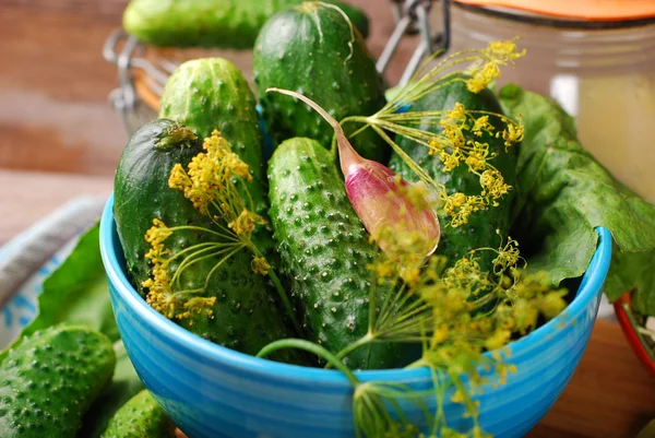 Taze salatalık ve Ingedients için ev yapımı Kornişon — Stok fotoğraf