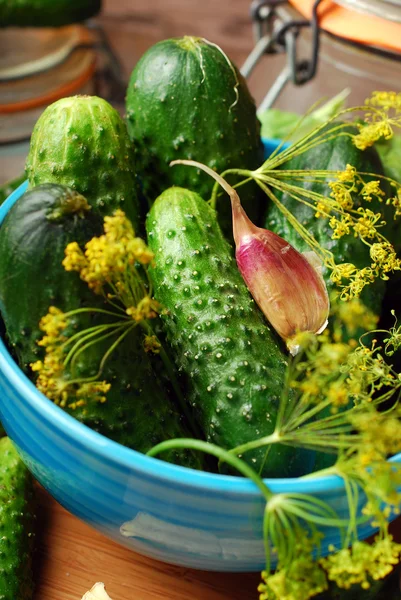 Fresh cucumbers and ingedients for homemade gherkin — Stock Photo, Image