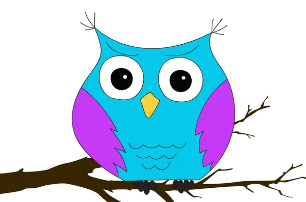 Colorful owl sitting on the branch — Stock Photo, Image