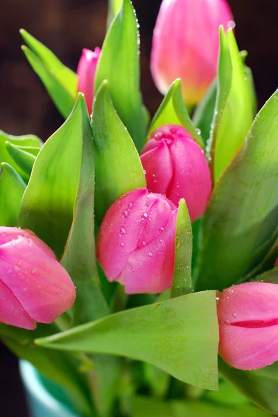 Um monte de tulipas rosa frescas — Fotografia de Stock