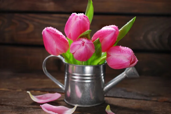 Pink tulips in old metal watering can — Stock Photo, Image