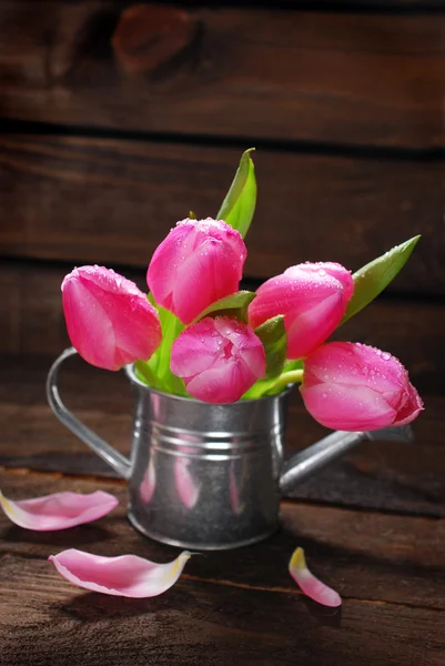 Pink tulips in old metal watering can — Stock Photo, Image