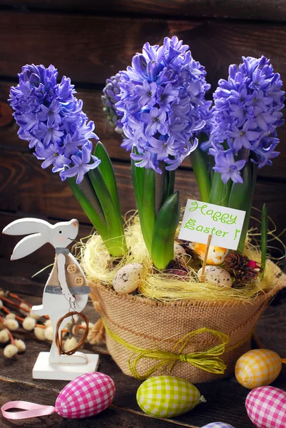 Paskalya dekorasyon ahşap backgrou taze sümbül çiçekleri ile — Stok fotoğraf