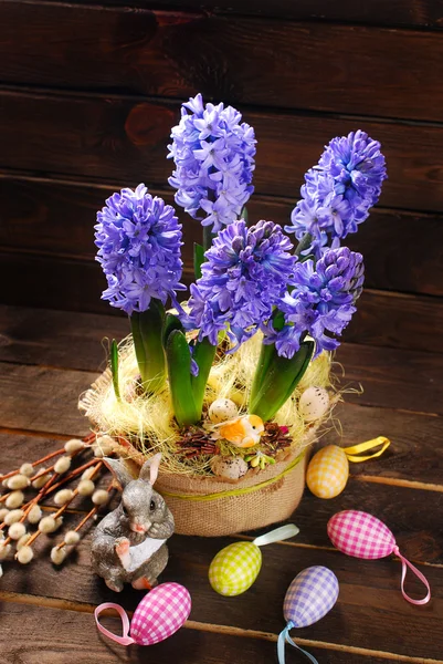 Decoración de Pascua con flores frescas de jacinto sobre fondo de madera — Foto de Stock