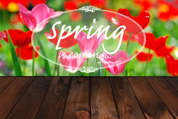 Spring is coming — Stock Photo, Image