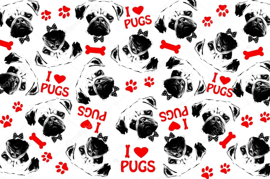 black,red and white graphic style pug dogs background