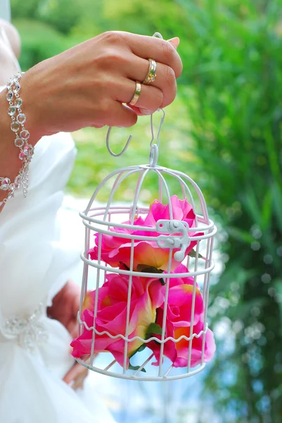 Bride hand holding vintage cage with roses — Stock Photo, Image