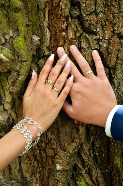 Anéis de casamento — Fotografia de Stock