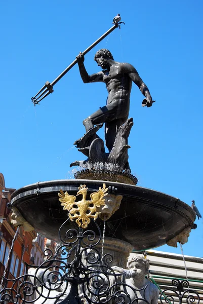 Neptune fountain with pigeon on the trident  in Gdansk — Stock Photo, Image