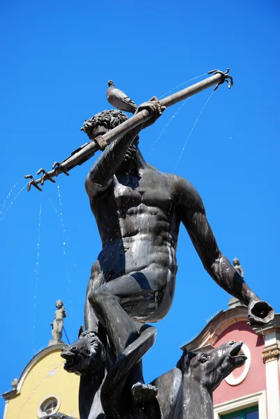 Neptune fountain with pigeon on the head in Gdansk — Stock Photo, Image