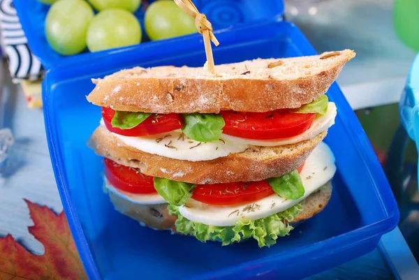 Бутерброд с капрезе для школы — стоковое фото