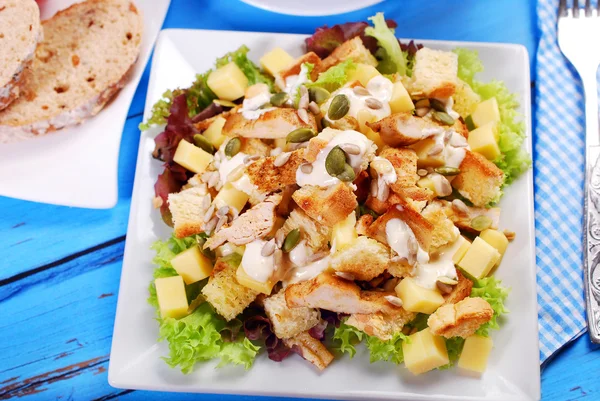 Ceasar salad — Stock Image Ceasar salad Royalty Free Stock Photos