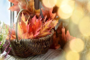 Colorful autumn maple leaves in the wicker basket standing on the windowsill in sunny day