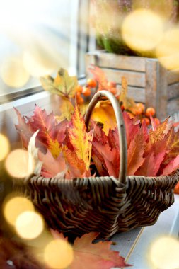 Colorful autumn maple leaves in the wicker basket standing on the windowsill in sunny day