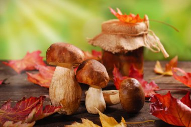 taze porcini ve salamura mantar