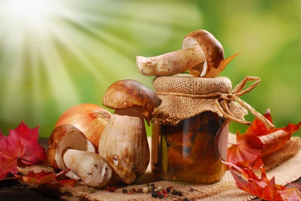 Fresh porcini and pickled mushrooms — Stock Photo, Image