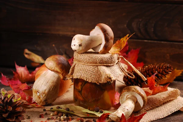 Fresh porcini and pickled mushrooms — Stock Photo, Image