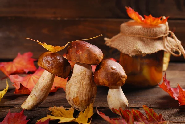 Fresh porcini and pickled mushrooms — Stock Photo, Image