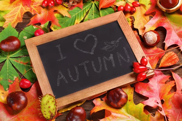 Herfstbladeren achtergrond met tekst op blackboard — Stockfoto