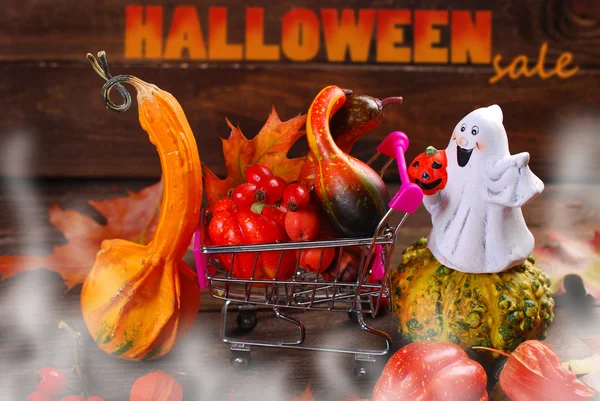 Ready for halloween — Stock Photo, Image