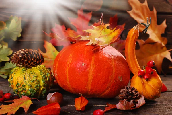 Cosecha de otoño sobre fondo de madera — Foto de Stock