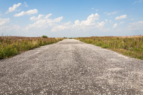 Country Road.in field — Stock Photo, Image