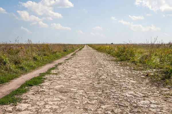 Stary kamień drogowy Zdjęcia Stockowe bez tantiem