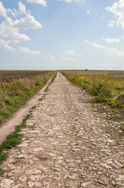 Old stone road Stock Image